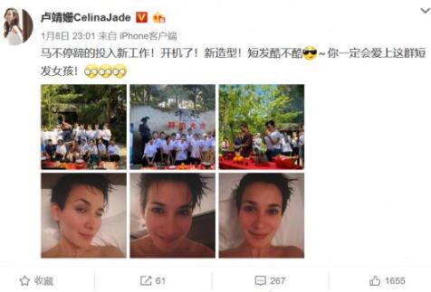 ¬ɹ̷ ¬ǼѪϸĸʲô